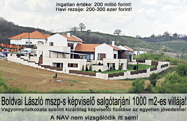 boldvai1-620x400