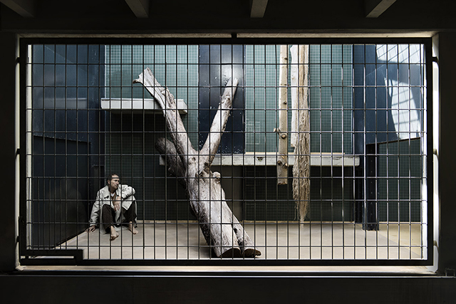 human_zoo_by_patrice_letarnec_5
